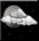partly cloudy -  Cumulonimbus clouds observed