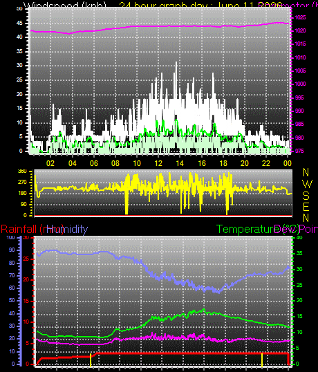24 Hour Graph for Day 11